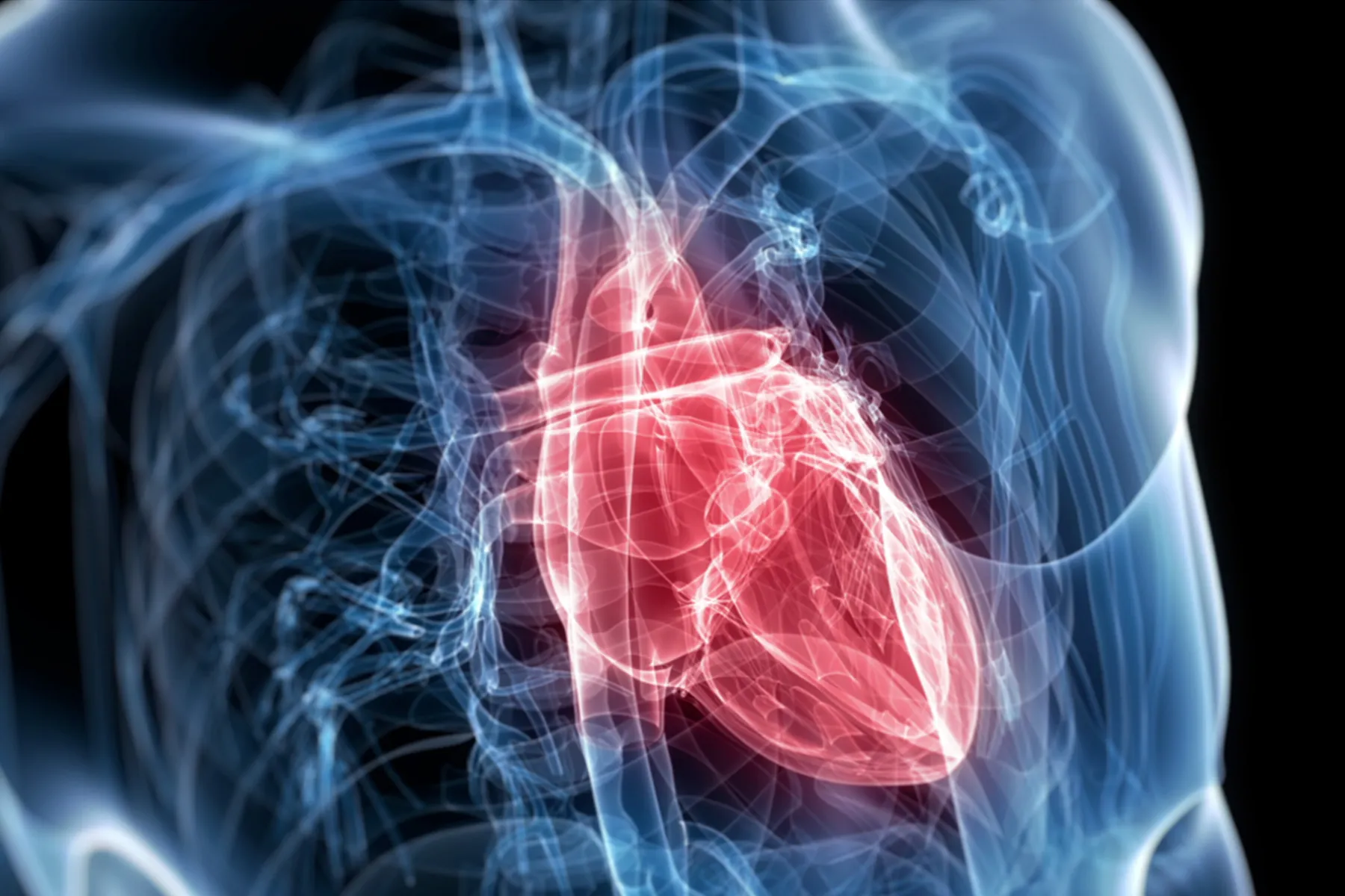 Heart Failure: Symptoms, Risk Factors, and Treatments