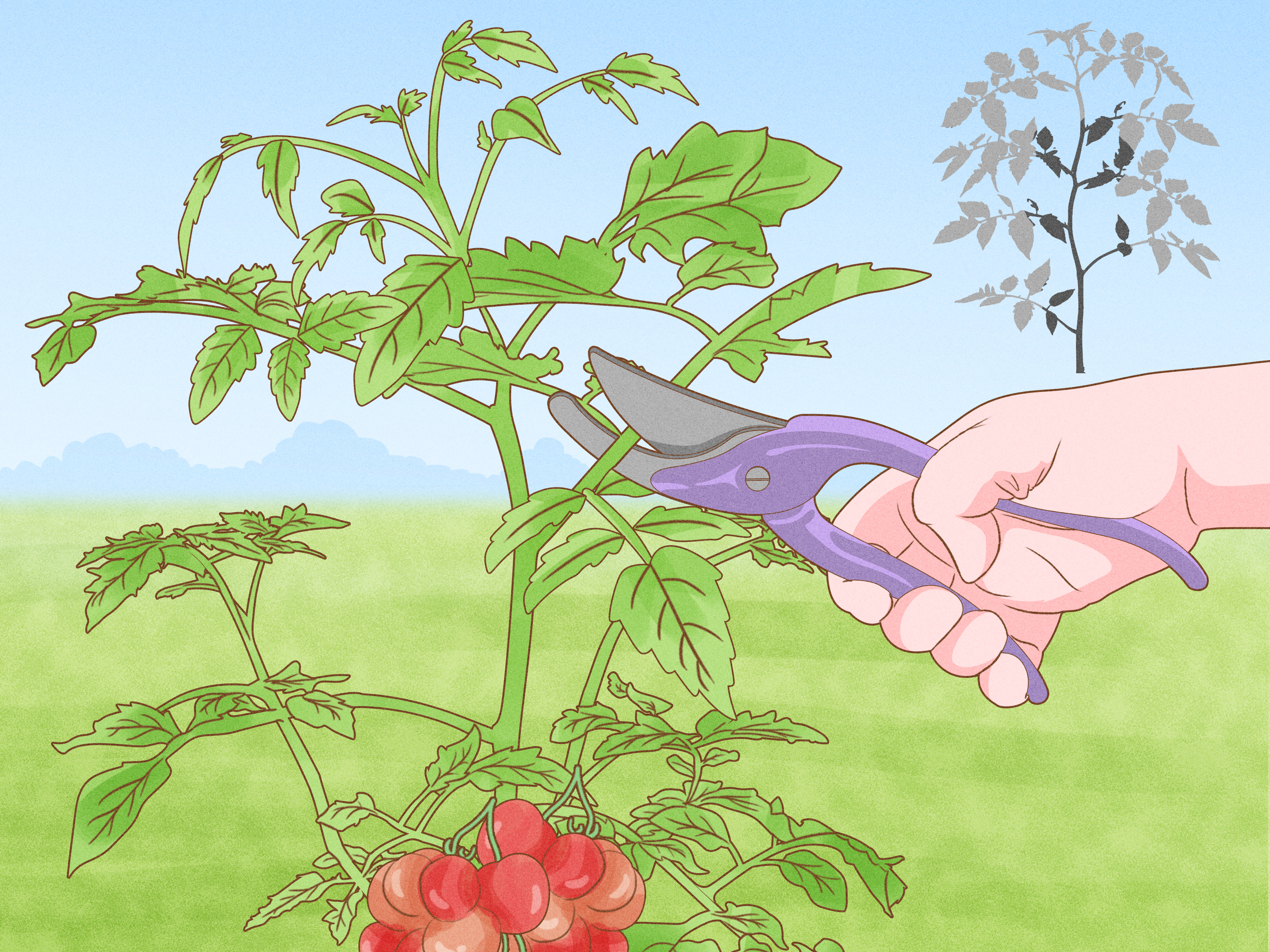 How to Design a Small Garden