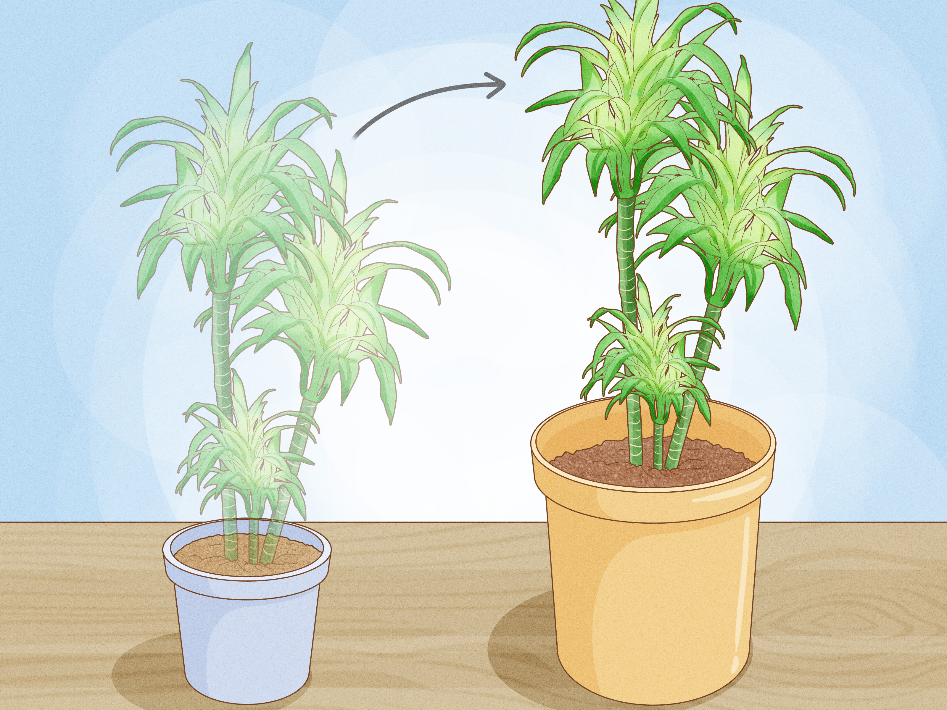How to Prune Houseplants: Why and When to Do It