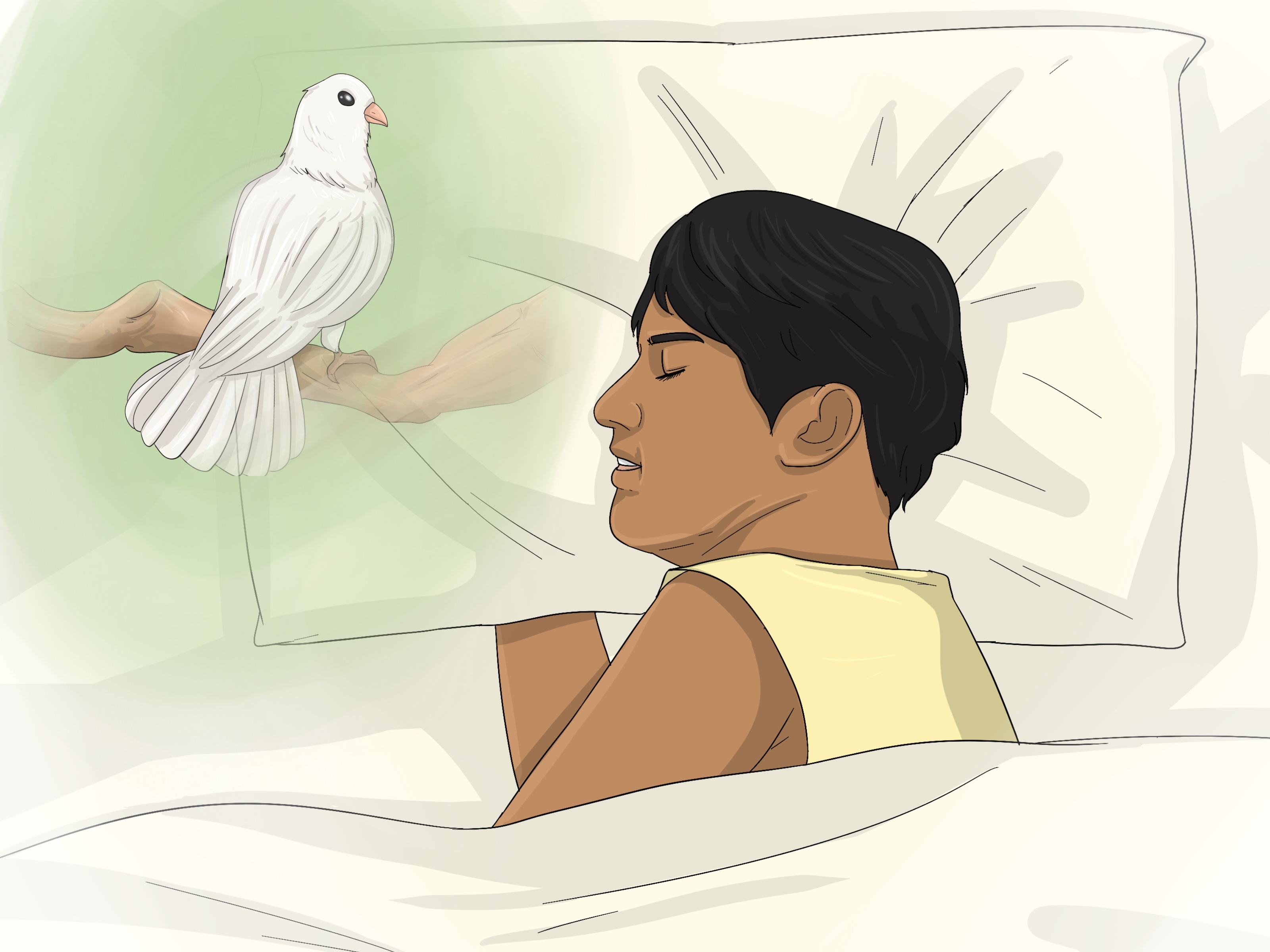Spiritual & Symbolic Meanings of White Doves