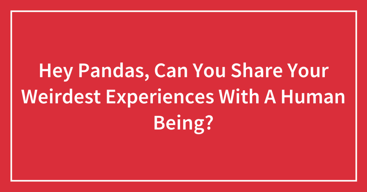 Hey Pandas, Can You Share Your Weirdest Experiences With A Human Being?