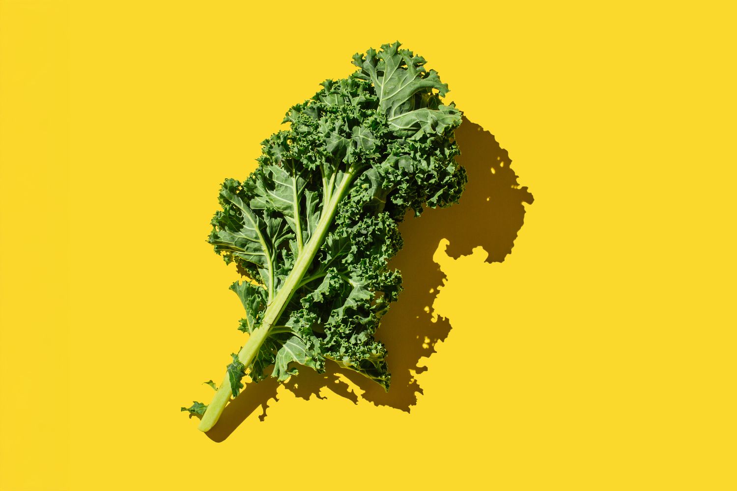 7 Foods Dentists Say Are Surprisingly Good for Your Teeth