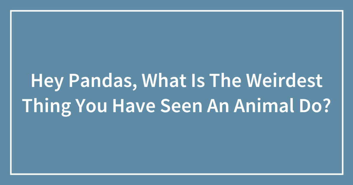 Hey Pandas, What Is The Weirdest Thing You Have Seen An Animal Do?