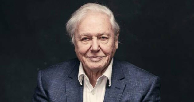 Top 10 Memorable Attenborough Moments – 2020