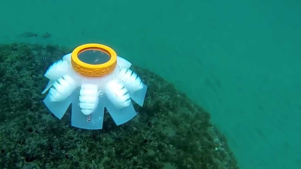 Soft Robotic Jellyfish Get Pumped In The Atlantic
