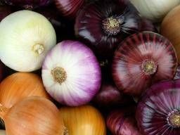 Onions: Benefits and Nutrition
