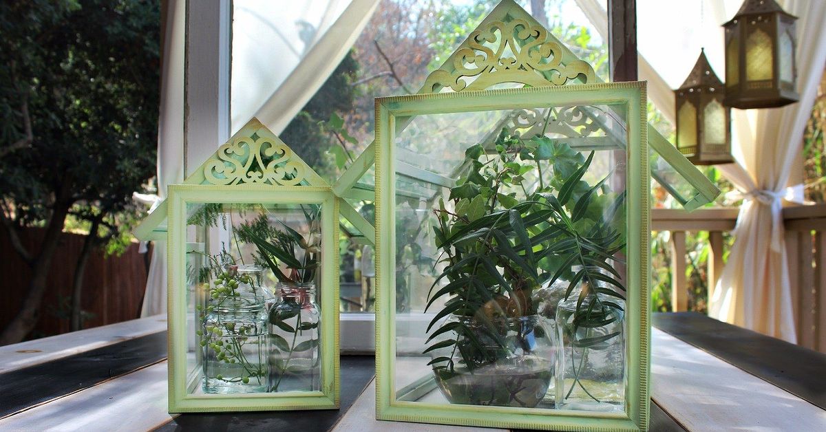 Dollar Store Frame Terrariums