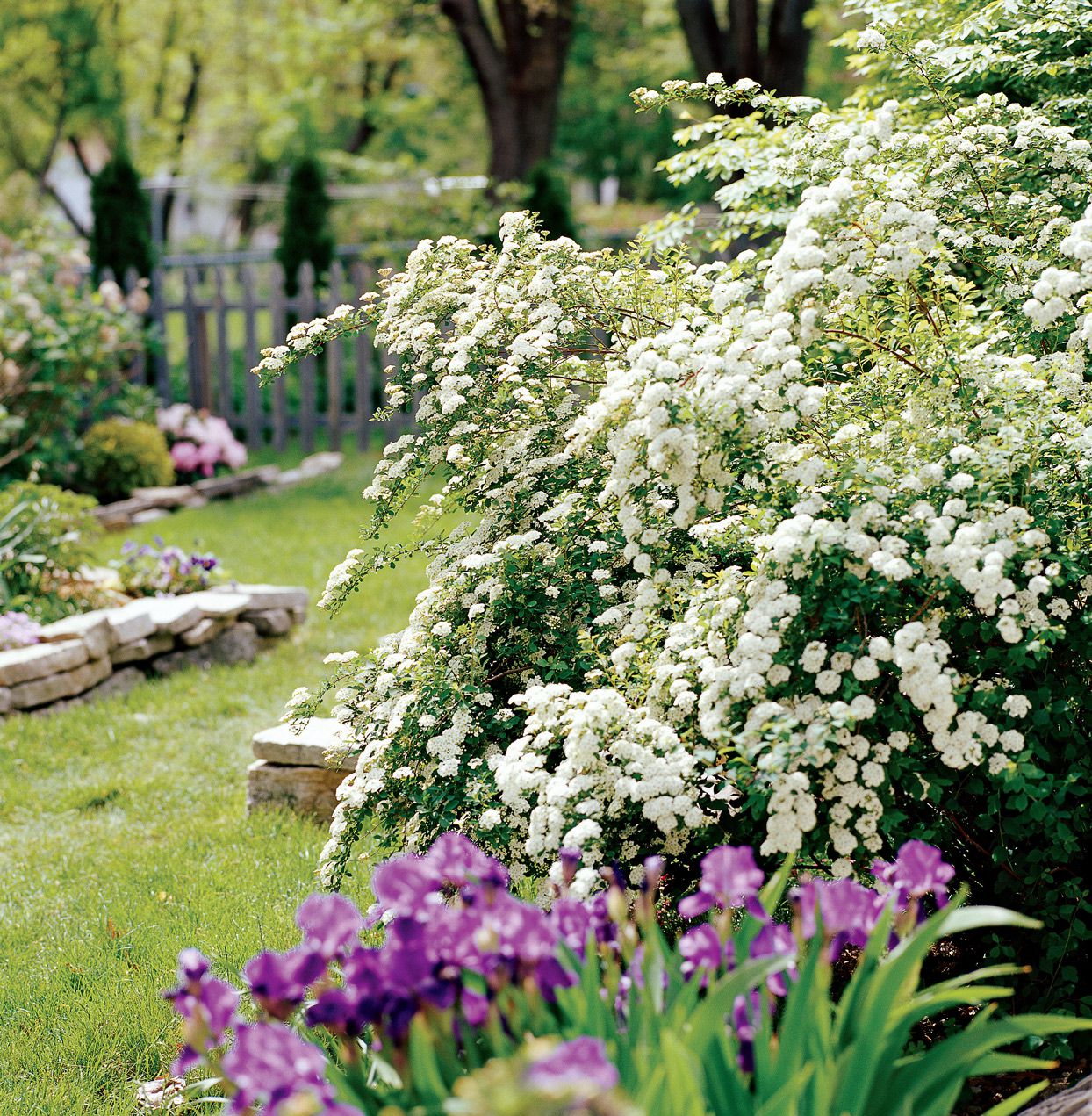 How to Pick the Best Bushes and Shrubs for Landscaping Your Yard